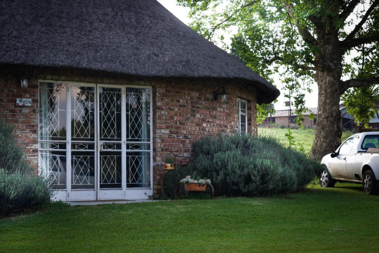 Suikerbosskuur Rondavel & Chalet Amsterdam Exterior foto